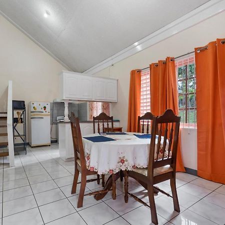 Shaw Park Gem Apt 12D Ocho Rios Bagian luar foto