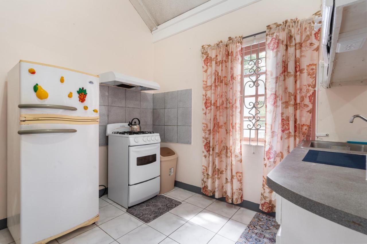 Shaw Park Gem Apt 12D Ocho Rios Bagian luar foto
